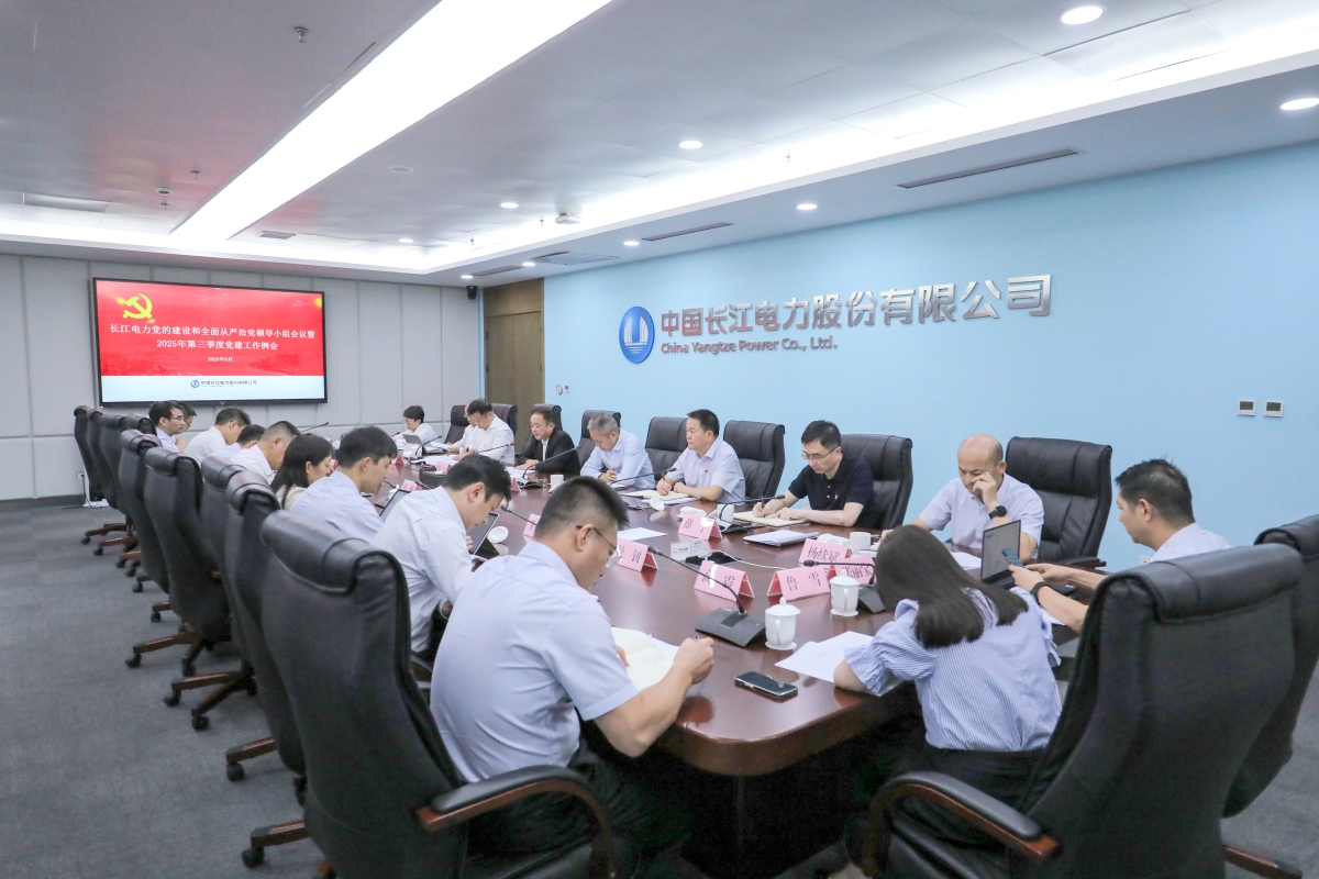 長江電力黨委召開黨的建設和全面從嚴治黨領導小組會議
